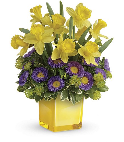 Teleflora's Playful Springtime Daffodil Bouquet